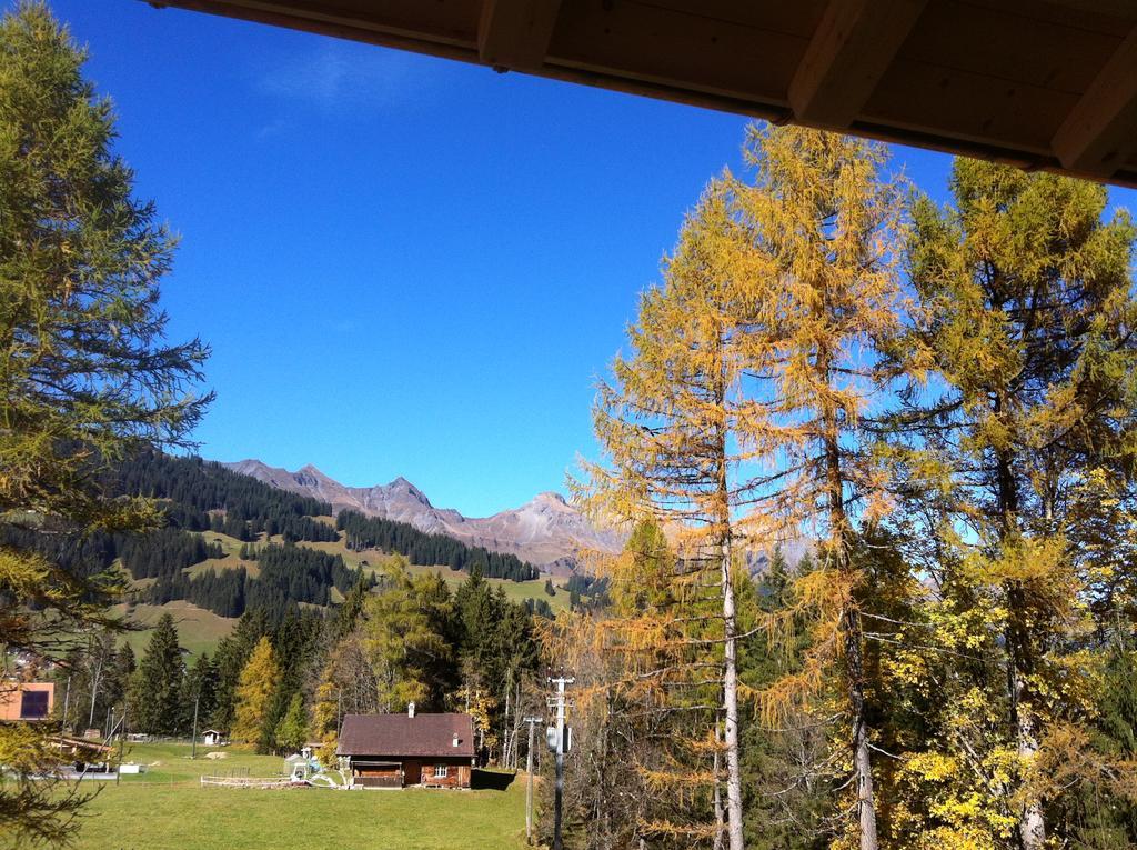 Bunderbach Villa Adelboden Luaran gambar