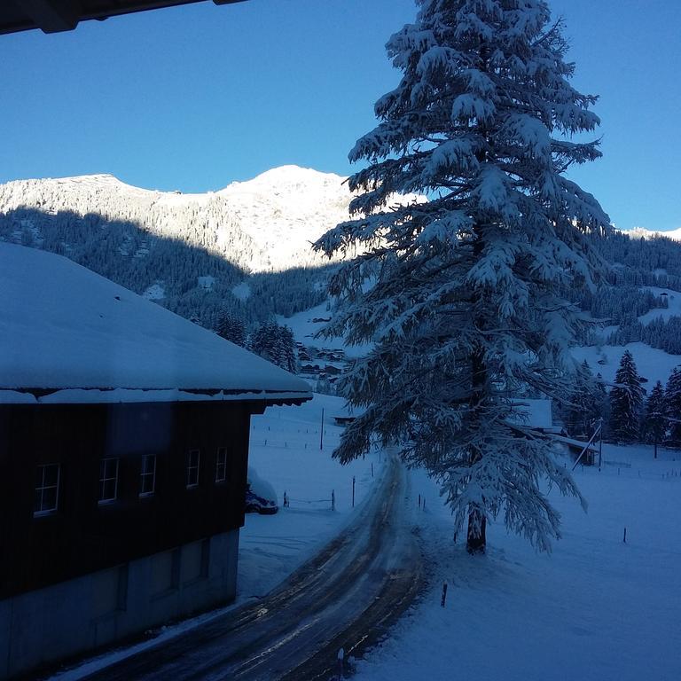 Bunderbach Villa Adelboden Luaran gambar