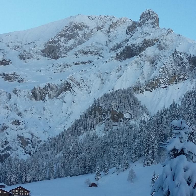 Bunderbach Villa Adelboden Luaran gambar